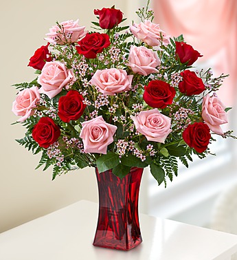 24 Pink and Red Roses in Vase